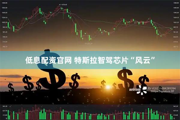 低息配资官网 特斯拉智驾芯片“风云”